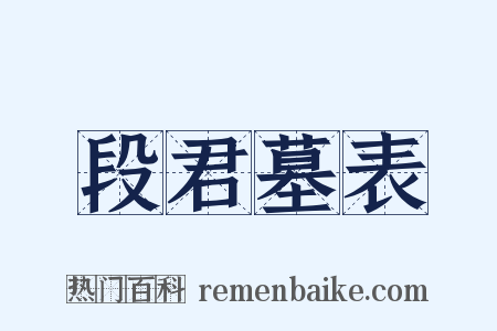 段君墓表是什么意思的图片